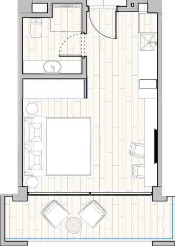 1 Bedroom Studio with balcony and with city view