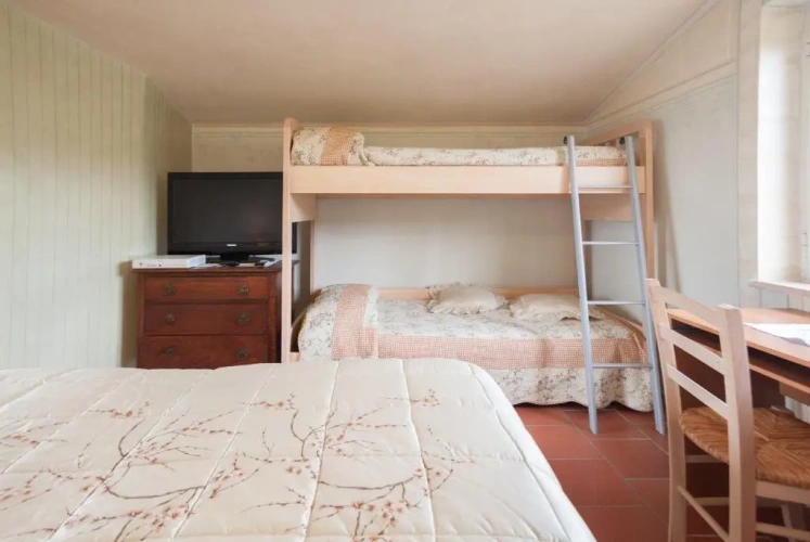 Standard Quadruple room with view
