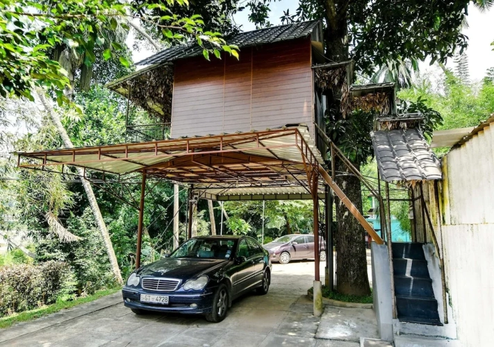 Cottage