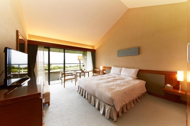 Standard Twin room with balcony and with view