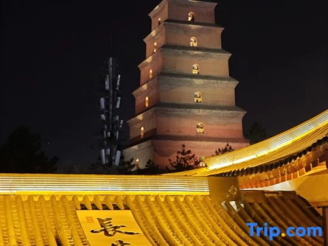 Hermitage Pagoda View Courtyard Hotel