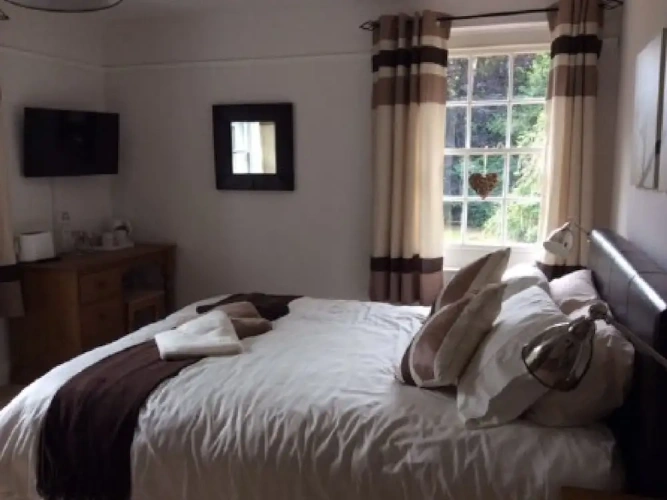 Deluxe Double room with garden view