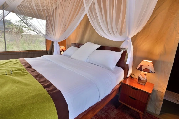 2 Bedrooms Family Tent