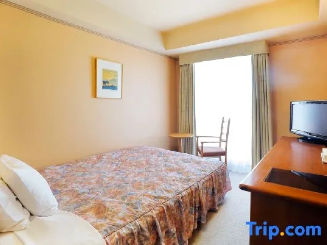 Standard Single room with park view