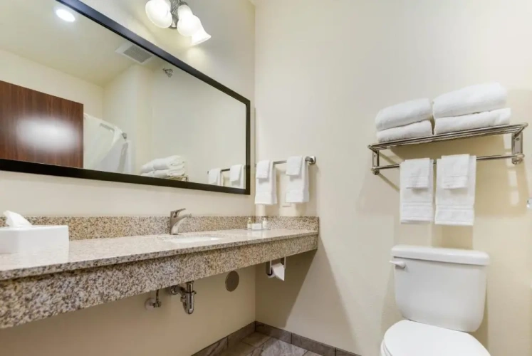 1 Bedroom Suite