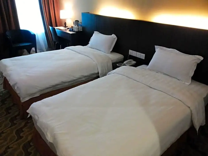 Deluxe Single room