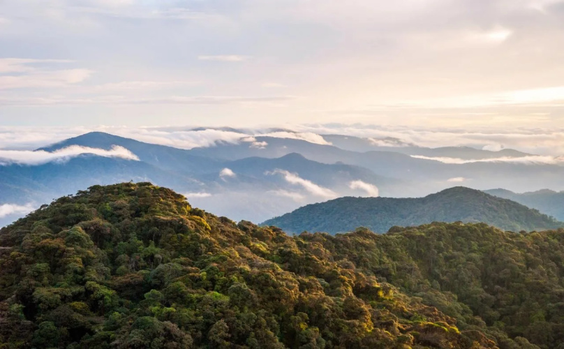 TJ Lodge