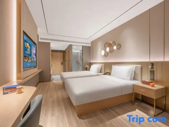 Standard Double room with city view