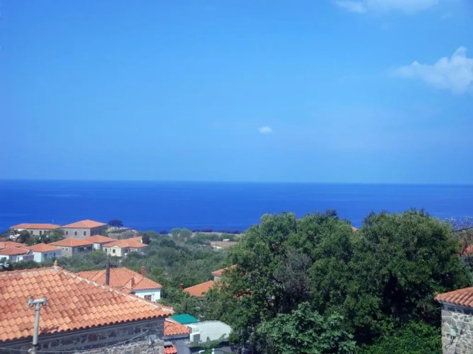 1 Bedroom Apartment with balcony and with view