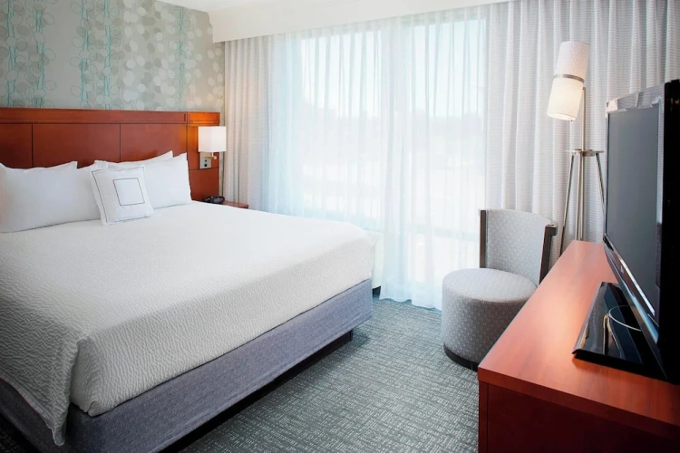 1 Bedroom Suite