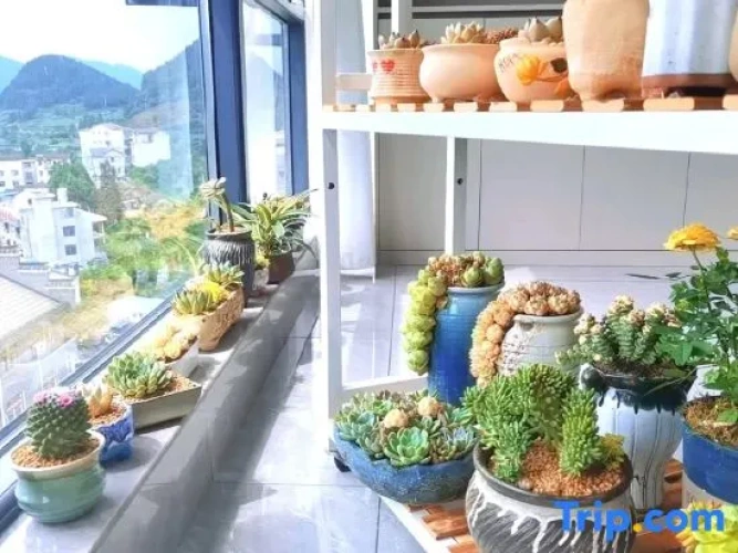 Outside