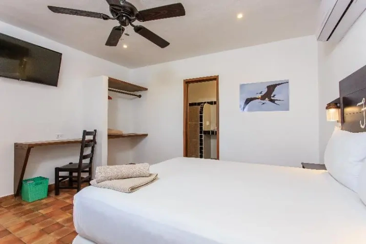 Premium Double room