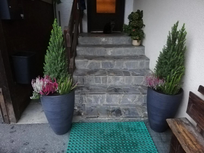 Apartment Lainer