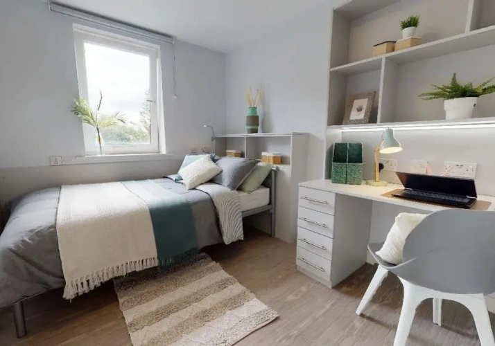 Standard Single room