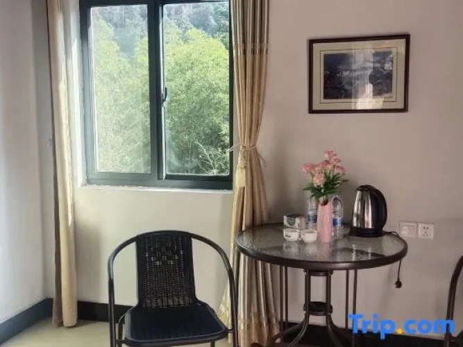 Standard Double room with view