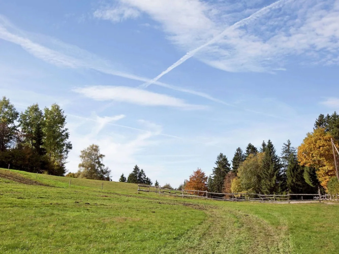 Ferienwohnung im Schwarzwald mit Garten
