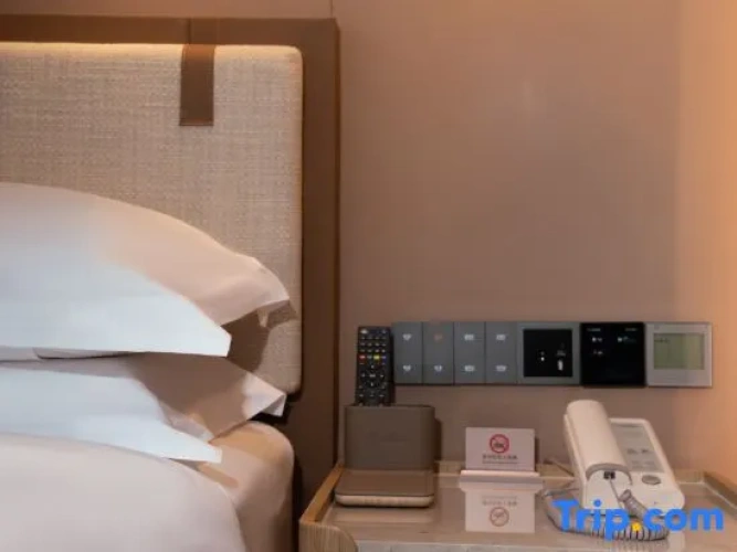 1 Bedroom Executive Suite
