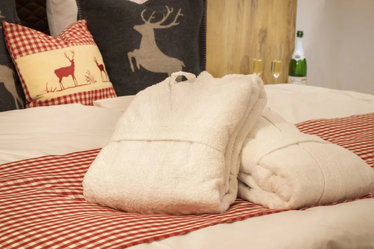 Steig-Alm Hotel