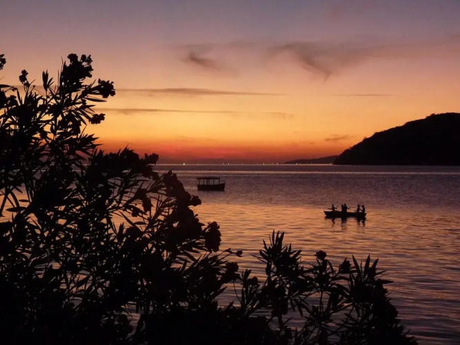 Thumbi View Lodge