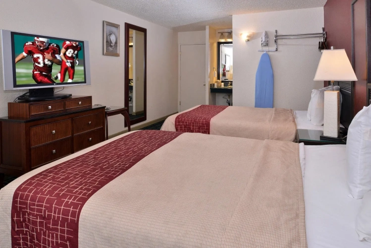 Superior Quadruple room
