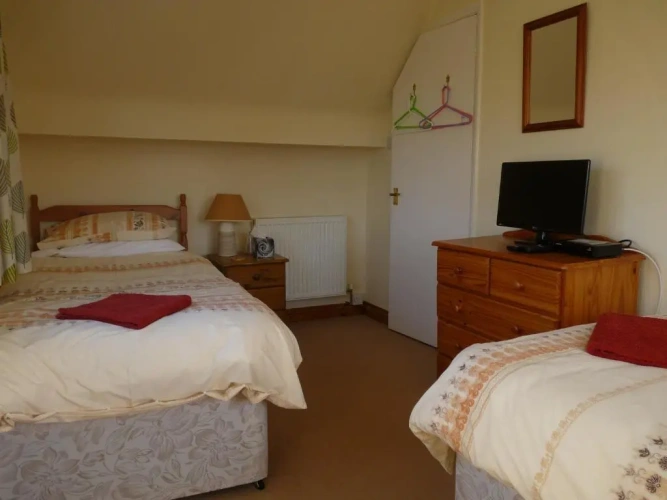Standard Double room with garden view