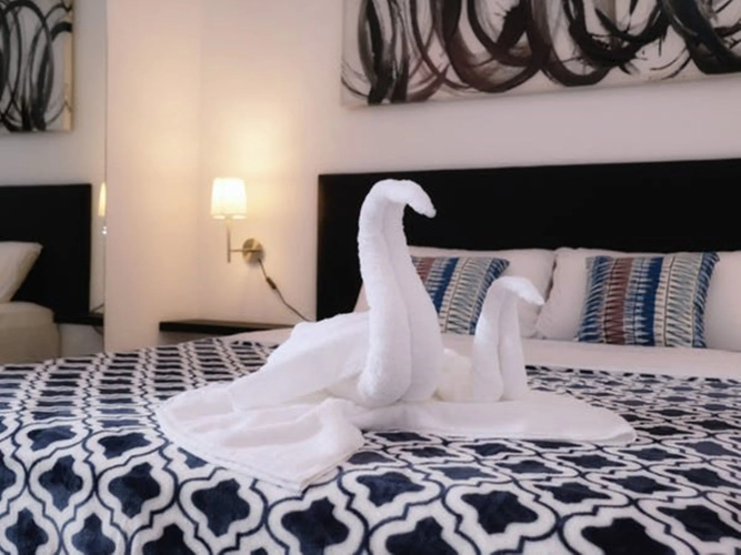 D' Gecko Hotel