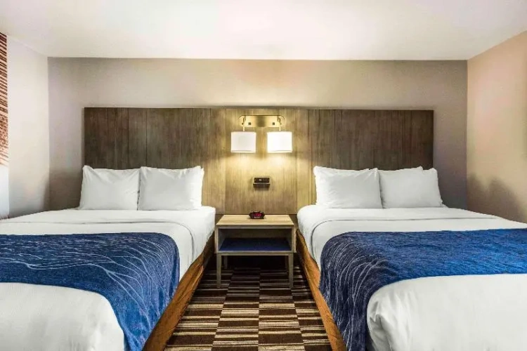 Standard Double room