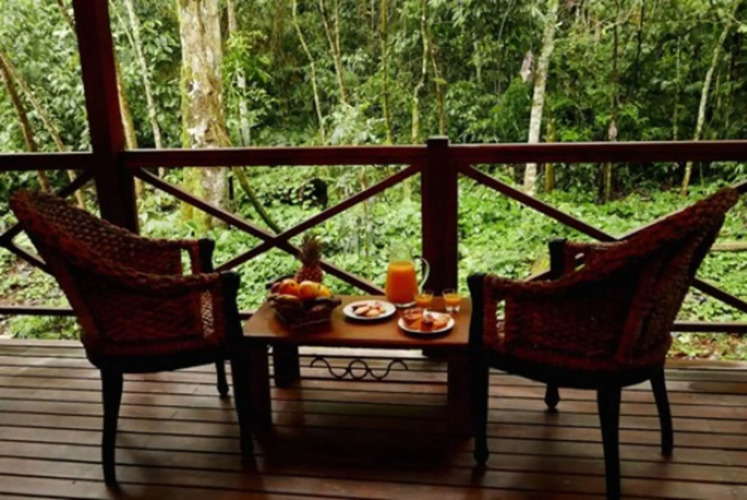 Selva de LaurelOver view