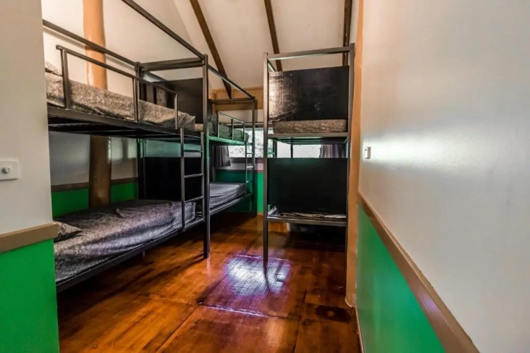 Bed in Dorm