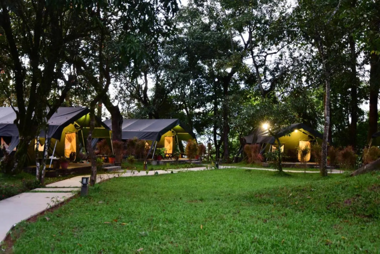 Monica Garden Bungalow