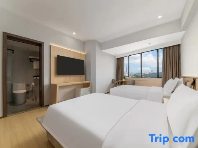 Executive Twin room