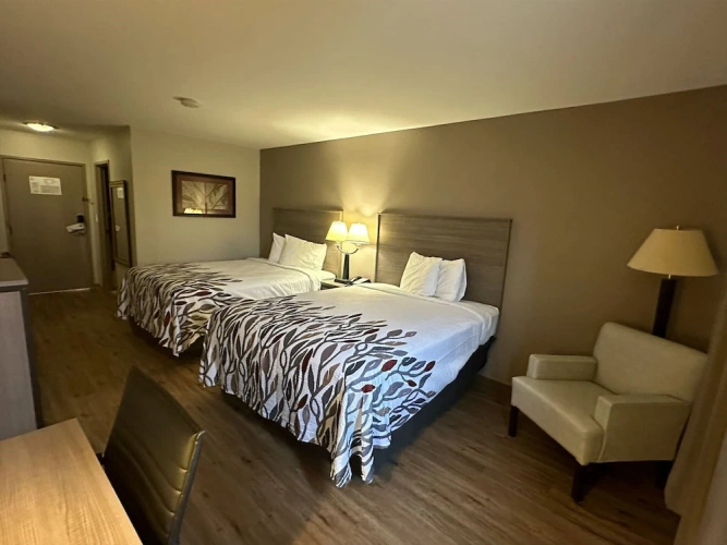 Superior Quadruple room