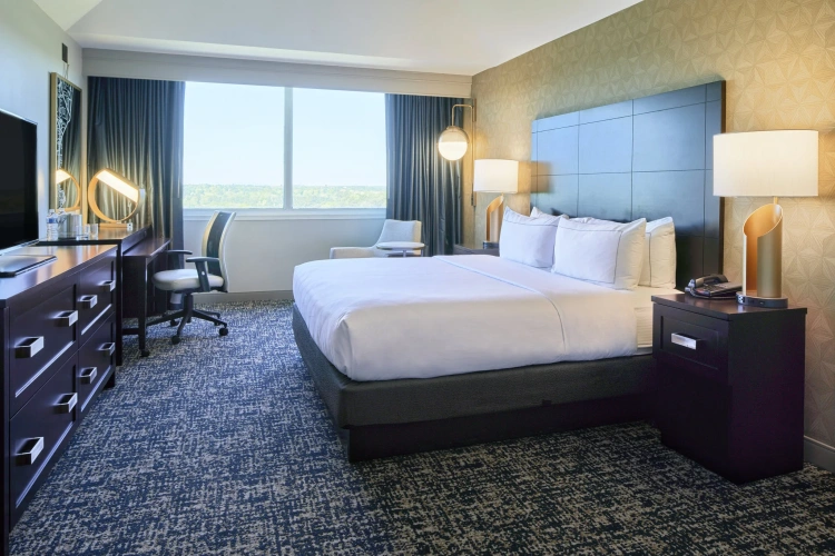 Standard Double room with mountain view