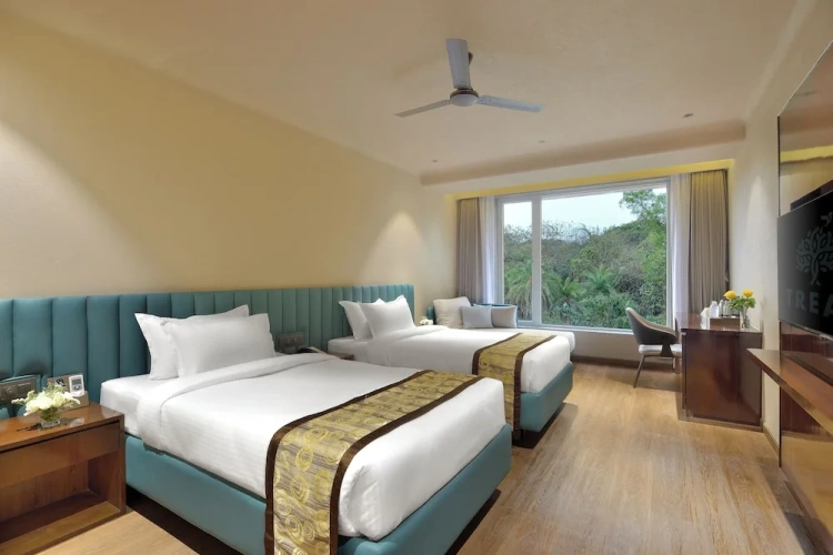Executive Twin room