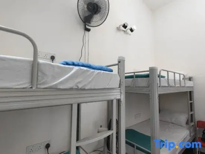 Bed in Dorm
