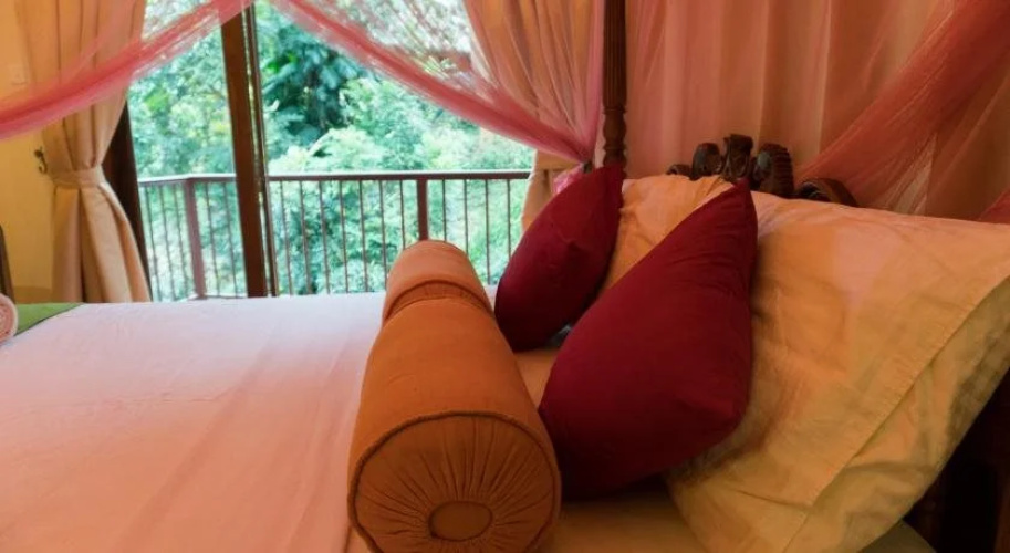 Aronka Homestay