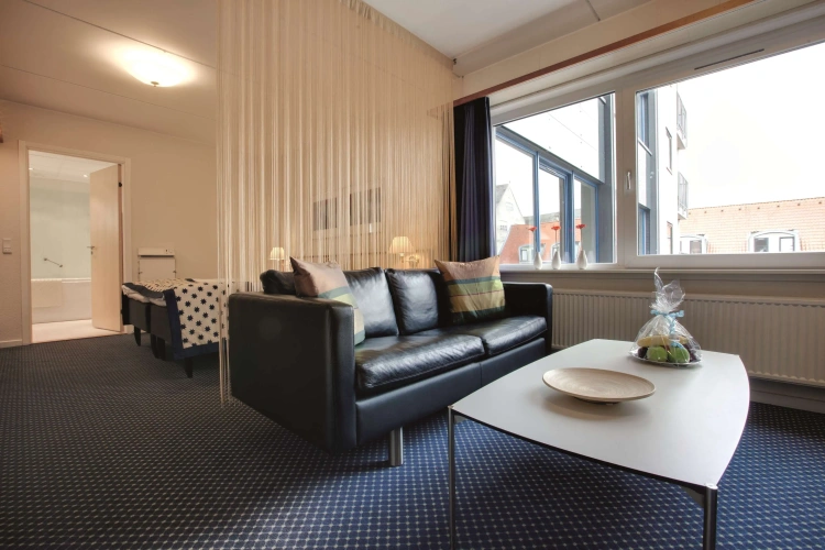 1 Bedroom Suite