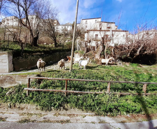 Casa LE ORIGINI