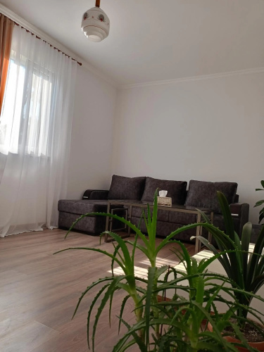 Selina Guest House