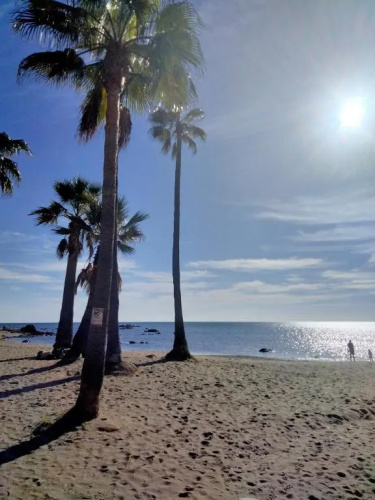 Amphora Beach 2372