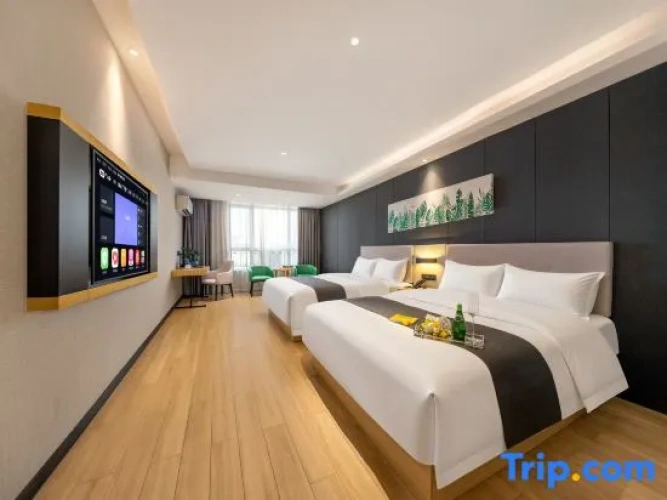 Standard Twin Family room with city view