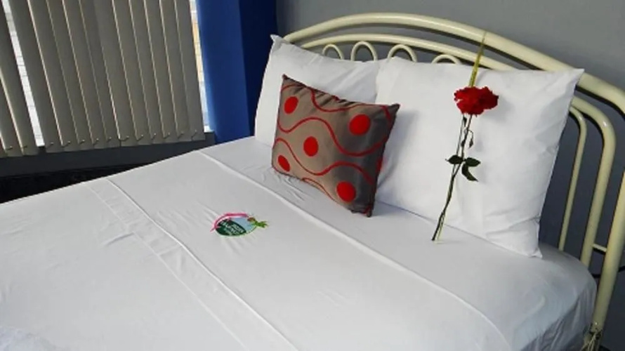 Delfin Amazon Suites