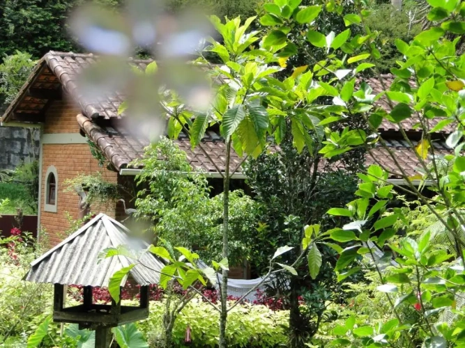Deluxe Chalet