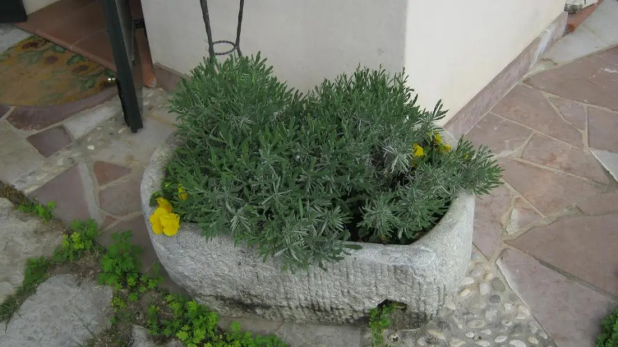 La Residence da Caterina