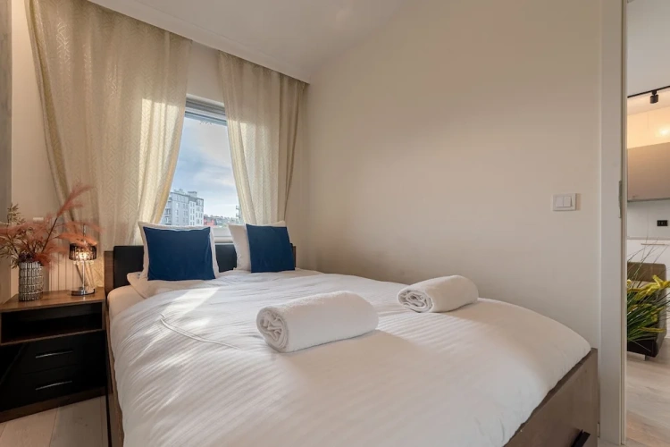 1 Bedroom Standard Apartment