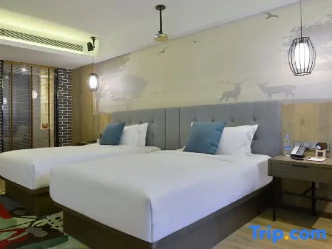 Twin Suite