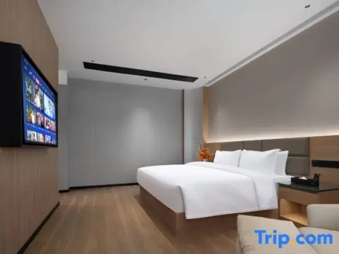 1 Bedroom Suite