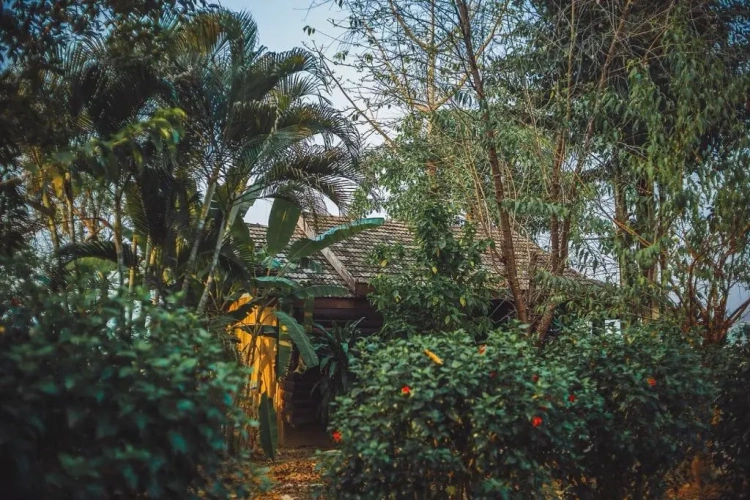 Deluxe Twin Bungalow
