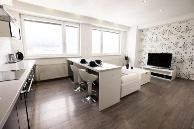 1 Bedroom Apartment