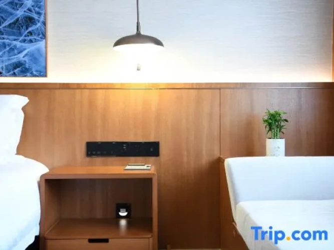 Business Double room with city view